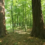 بيت شباب Hainich-zeit