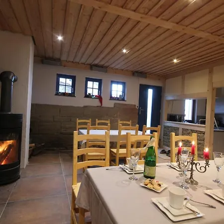 Hainich-zeit