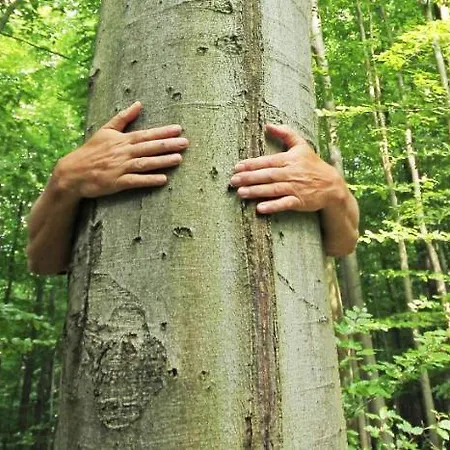 Hainich-zeit Hostel *