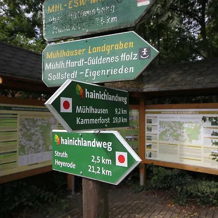 Hainich-zeit