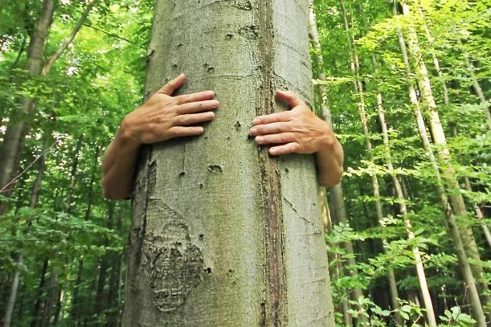 Hainich-zeit Hostel *