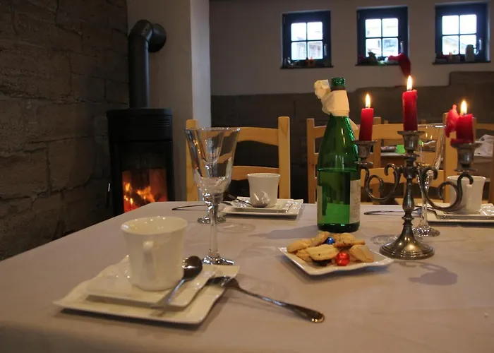 Hainich-zeit * Rodeberg