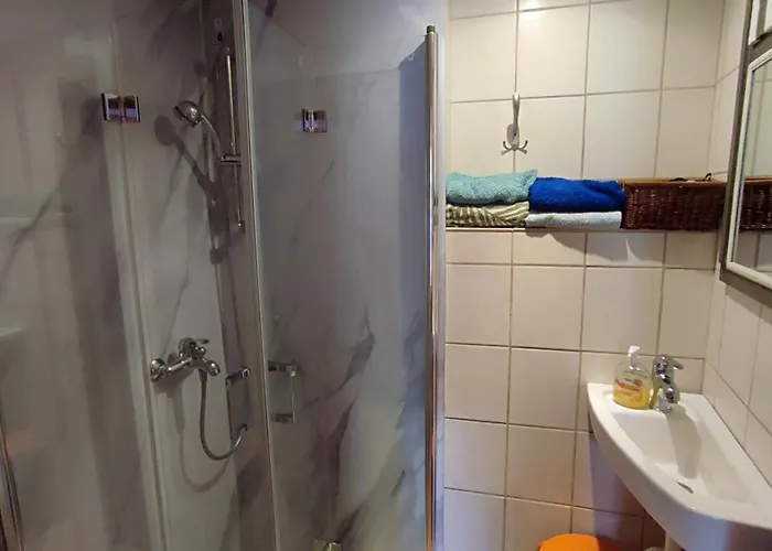 Hainich-zeit Rodeberg