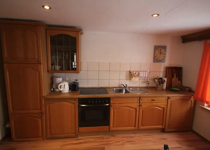 Hainich-zeit * Rodeberg