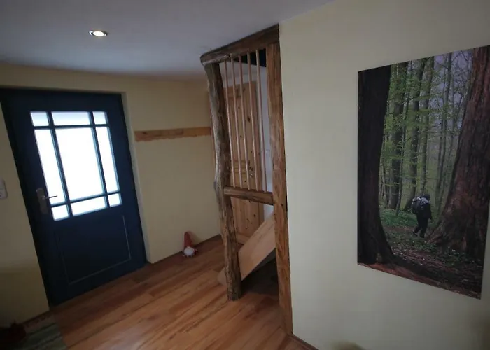 Hainich-zeit Rodeberg